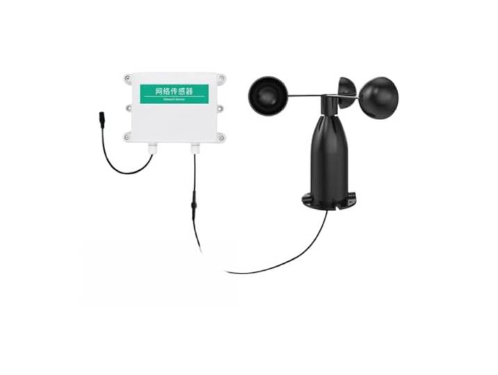 Windgeschwindigkeits-Sensor RS485 Impulse 3-Tasse(Purple)