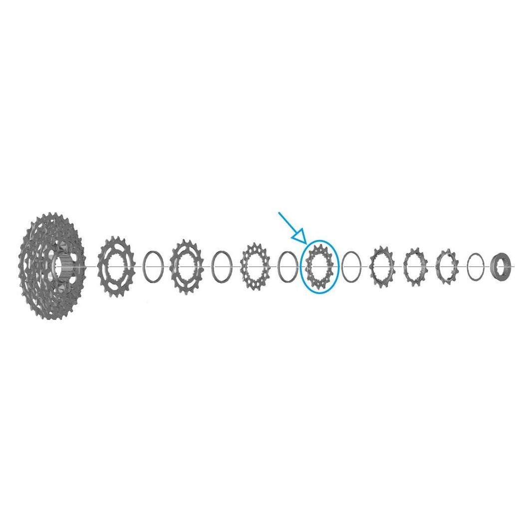 Shimano Zahnkranz CS-R7100 14 Zähne (14) (33369944)