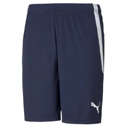 Puma teamLIGA Shorts Herren - navy - 3XL