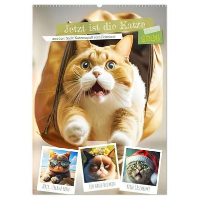 Jetzt ist die Katze aus dem Sack! Katzenspaß vom Feinsten! (Wandkalender 2026 DIN A2 hoch), CALVENDO Monatskalender
