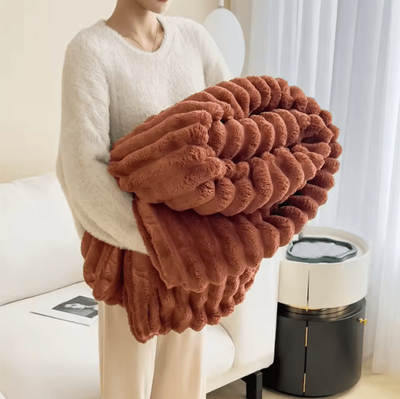 Inspire Curations Double Sided Plush Striped Throw Blanket brown