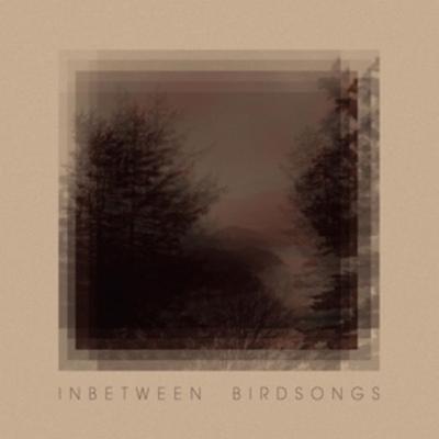 Inbetween Birdsongs - Matthias Gusset, CD