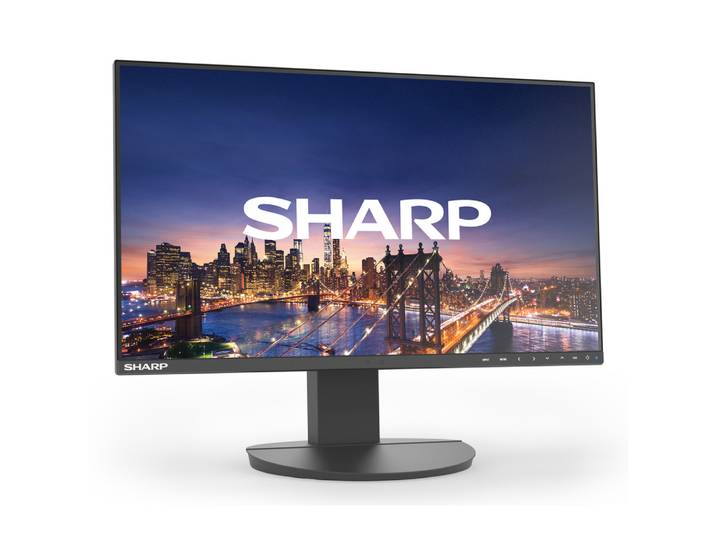 Sharp MultiSync EA242F, 61 cm (24'), 1920 x 1080 pixels, Full HD, LCD, 5 ms, Noir DDEA242F