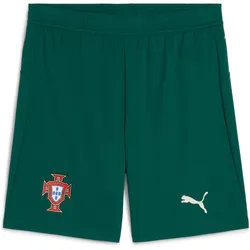 Puma, Herren, Sporthose, FPF Shorts Replica (XS), Grün
