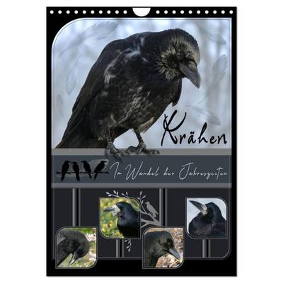 Krähen - Im Wandel der Jahreszeiten (Wandkalender 2027 DIN A4 hoch), CALVENDO Monatskalender