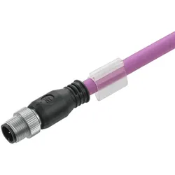Weidmüller Kabel SAIL-M12G-CD-10B