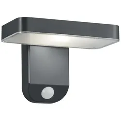 Reality Esquel - Solar-LED-Wandleuchte mit Bewegungsmelder, 4,5W, 290lm, 3000K, anthrazit