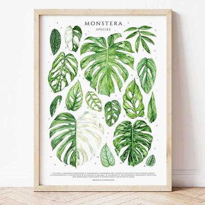 Uplift Picks Botanical Wall Art Plant Canvas Print Green Wall Decor Nature Leaf Poster 24 30x40 Cm