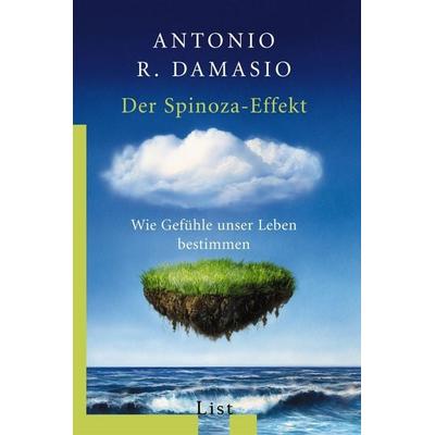 Der Spinoza-Effekt, Taschenbuch von Antonio R. Damasio, List Taschenbuch