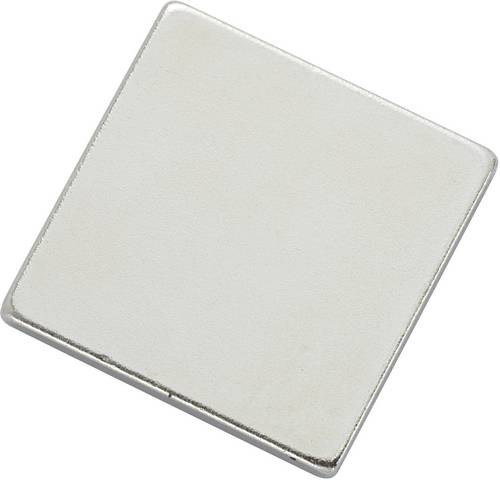 TRU Components N35-202002 1564098 Magnet-Pad N35-202002 Silber (L x B) 20mm x 20mm