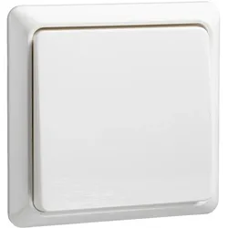 Elso 512114 Taster 10A beleucht komplett RENOVIERUNG Schraubklemme reinweiß