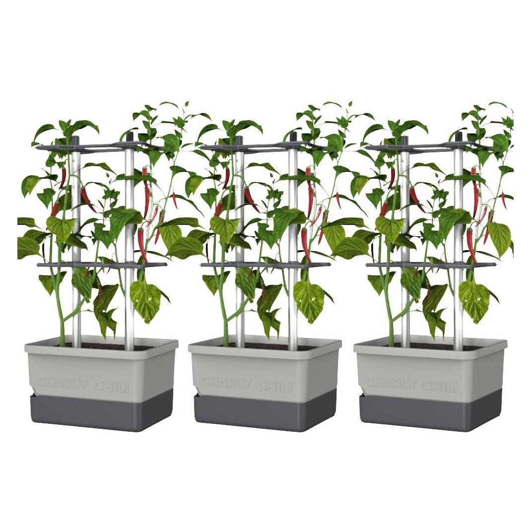 Gusta Garden CHARLY CHILI 3er-Set hellgrau / W07076 Pflanzgefäss (CHARLY CHILI 3er-Set hellgrau / W07076)