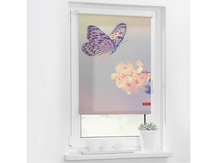 Klemmfix-Rollo Schmetterling 80 x 150cm Rot