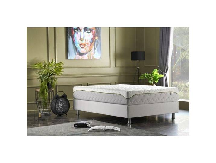 PHYSIONAT Matelas morphologique Mousse HR 40kg Extraits de soja 90x190