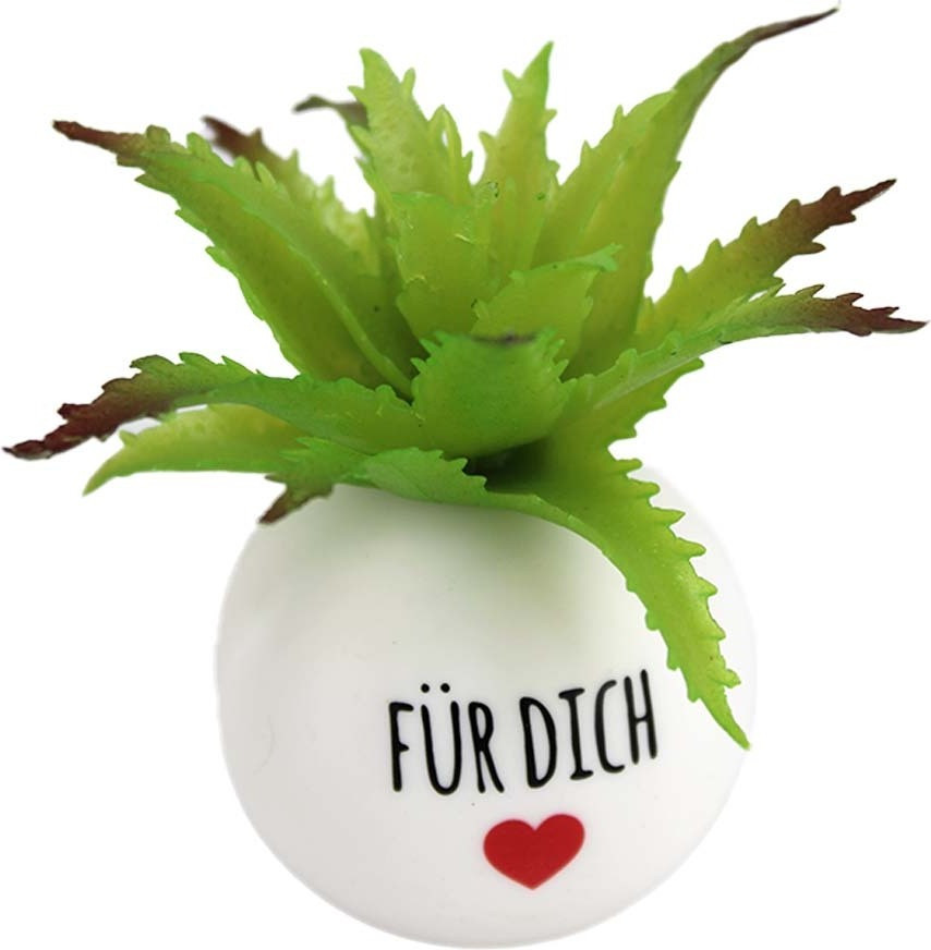 BEMIRO Kunstplant in pot met tekst Voor Dich, groen, Hoogte: 8 cm
