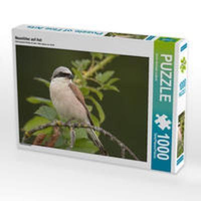 CALVENDO Puzzle Neuntöter auf Ast 1000 Teile Lege-Größe 64 x 48 cm Foto-Puzzle Bild von Kevin Andreas Lederle