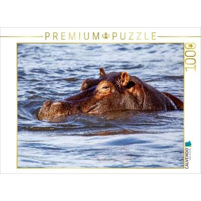 CALVENDO Puzzle Flusspferd im Chobe Nationalpark | 1000 Teile Lege-Größe 64x48cm Foto-Puzzle für glückliche Stunden
