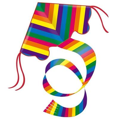 Günther Einleinerdrachen Rainbow, 97x58cm