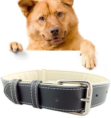 Snug & Styled Premium Leather Dog Collar For Large Dogs Adjustable Durable Training & Walking Collar black