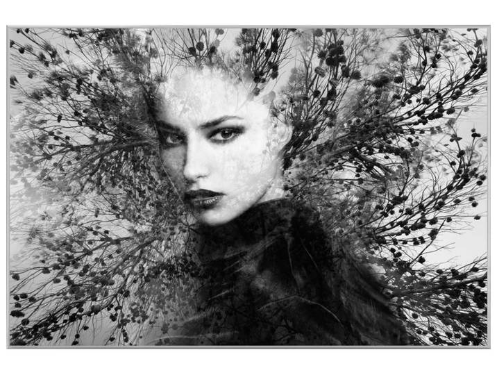 Bild mit Rahmen Baumfee image LAND