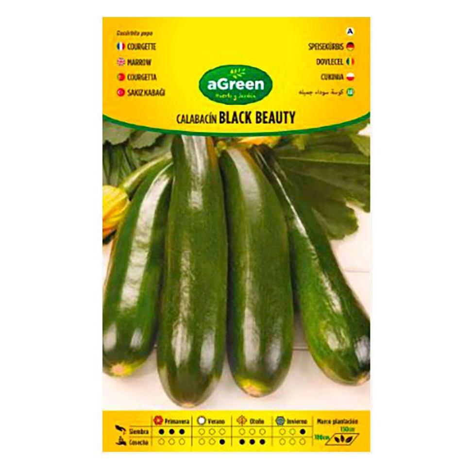 Agreen Seed envelope zucchini black beauty. (Gemüsesamen) (49435410)