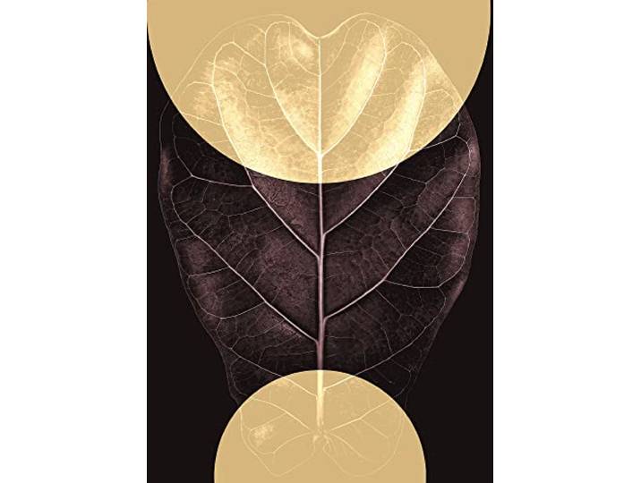 Komar Wandbild - Shadow Theatre - Größe: 50 x 70 cm - Poster, Kunstdruck, Dekoration, Wohnzimmer, Schlafzimmer