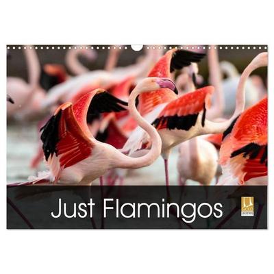 Just Flamingos (Wall Calendar 2027 DIN A3 landscape), CALVENDO 12 Month Wall Calendar