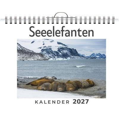Seeelefanten