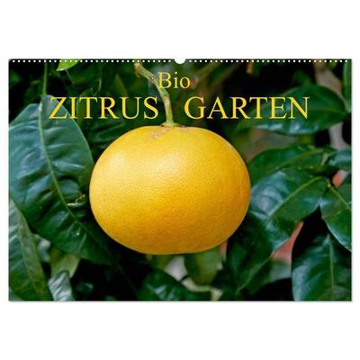 Bio Zitrus Garten (Wandkalender 2027 DIN A2 quer), CALVENDO Monatskalender