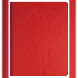 Exacompta 14080E Geschaeftsbuch 32x25 80S 8 Spalten - Farben sortiert