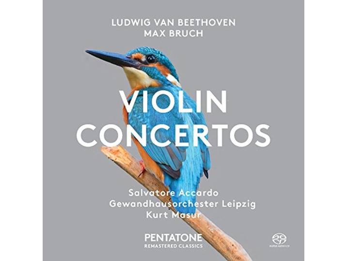 Beethoven/Bruch - Violin Concertos