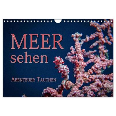Meer sehen - Abenteuer Tauchen (Wandkalender 2026 DIN A4 quer), CALVENDO Monatskalender