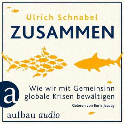 Zusammen - Ulrich Schnabel, Audio, 9783961058747