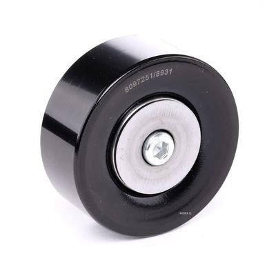 RIDEX Umlenkrolle BMW 312D0011 11287780124,11287799464 Führungsrolle,Umlenk-/Führungsrolle, Keilrippenriemen