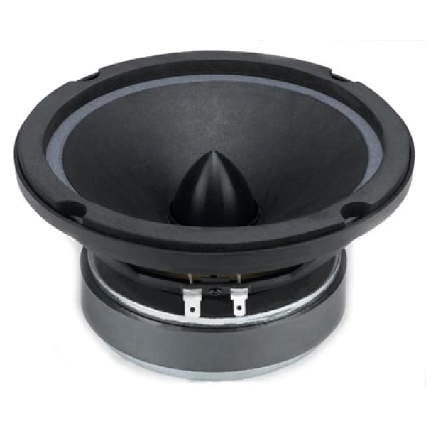American Bass SQ-65M