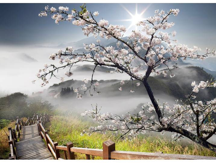 Fototapete PAPERMOON ORCHIDEEN-TAPETE NATUR LANDSCHAFT GEBIRGE BERGE BLUMEN , bunt, B:4,5m L:2,8m, Vlies, Tapeten, Fototapete