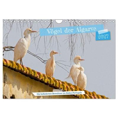 Vögel der Algarve (Wandkalender 2027 DIN A4 quer), CALVENDO Monatskalender