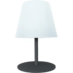 Lumisky TWINS Kabellose Tischleuchte H16CM Stahl Grau