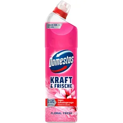 Domestos KRAFT & FRISCHE GEL WC-Reiniger FLORAL FRESH 0,75 l