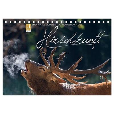 Emotionale Momente: Hirschbrunft (Tischkalender 2027 DIN A5 quer), CALVENDO Monatskalender