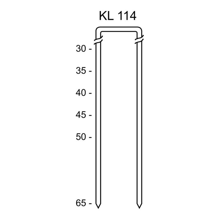 Schneider Heftklammer KL 114/50 CNKH/10000 (DGKC430025)