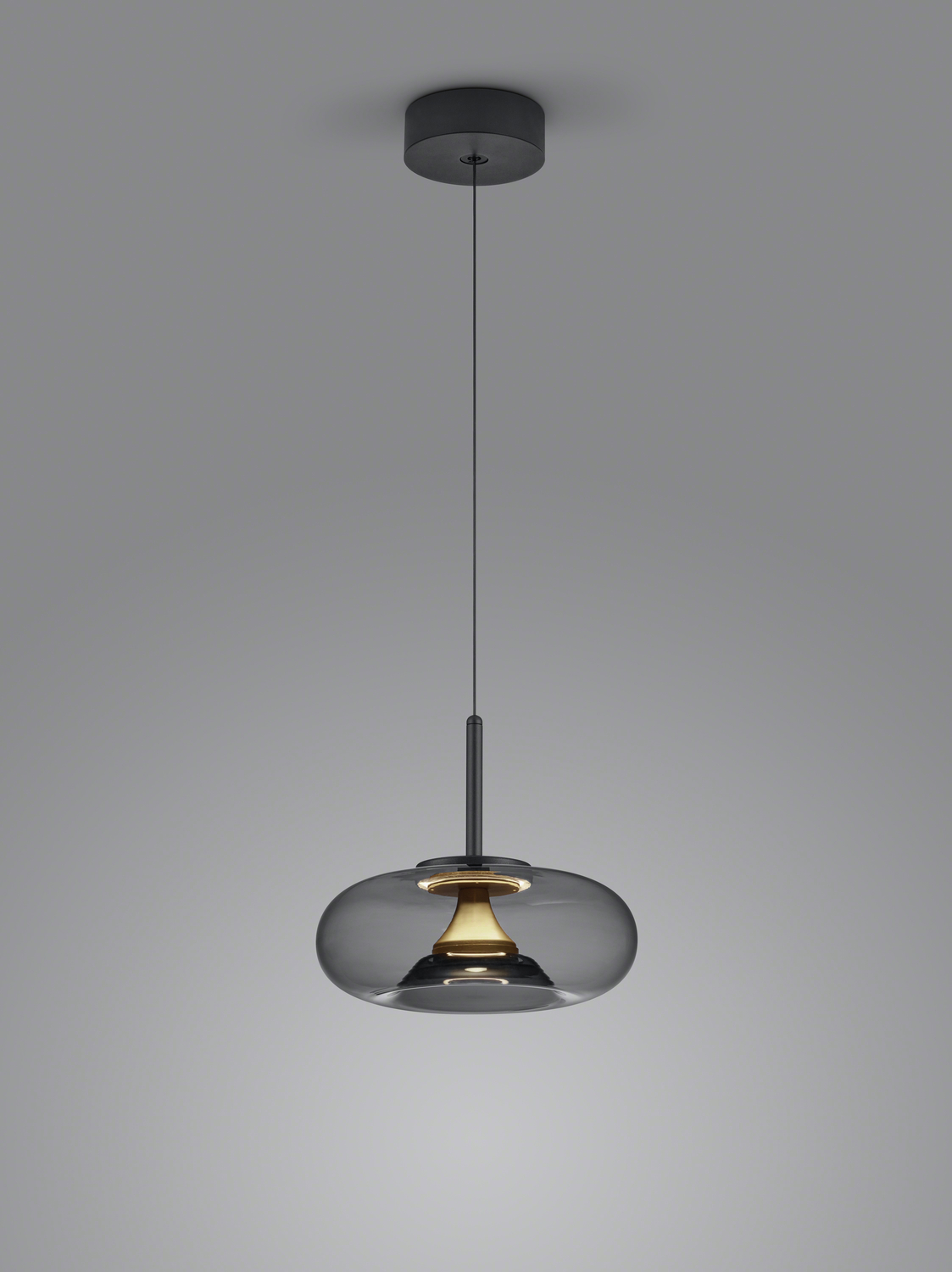 Helestra LED-Pendelleuchte SICA Schwarz/Gold 6-5081.28 4022671118729