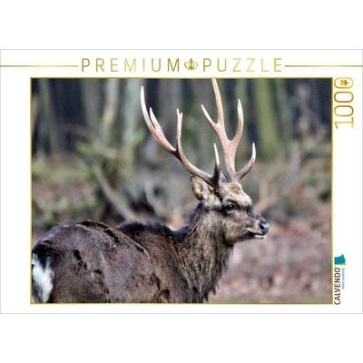 CALVENDO Puzzle Der Sikahirsch - Der kleine Asiat in unseren Wäldern | 1000 Teile Lege-Größe 64x48cm Foto-Puzzle für glückliche Stunden, Sonstige von