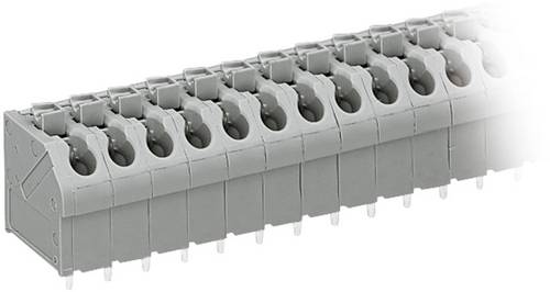 WAGO 250-504 Federkraftklemmblock 1.00mm² Polzahl 4 Grau