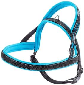 Ferplast Arnés Sport Dog P Medium Azul