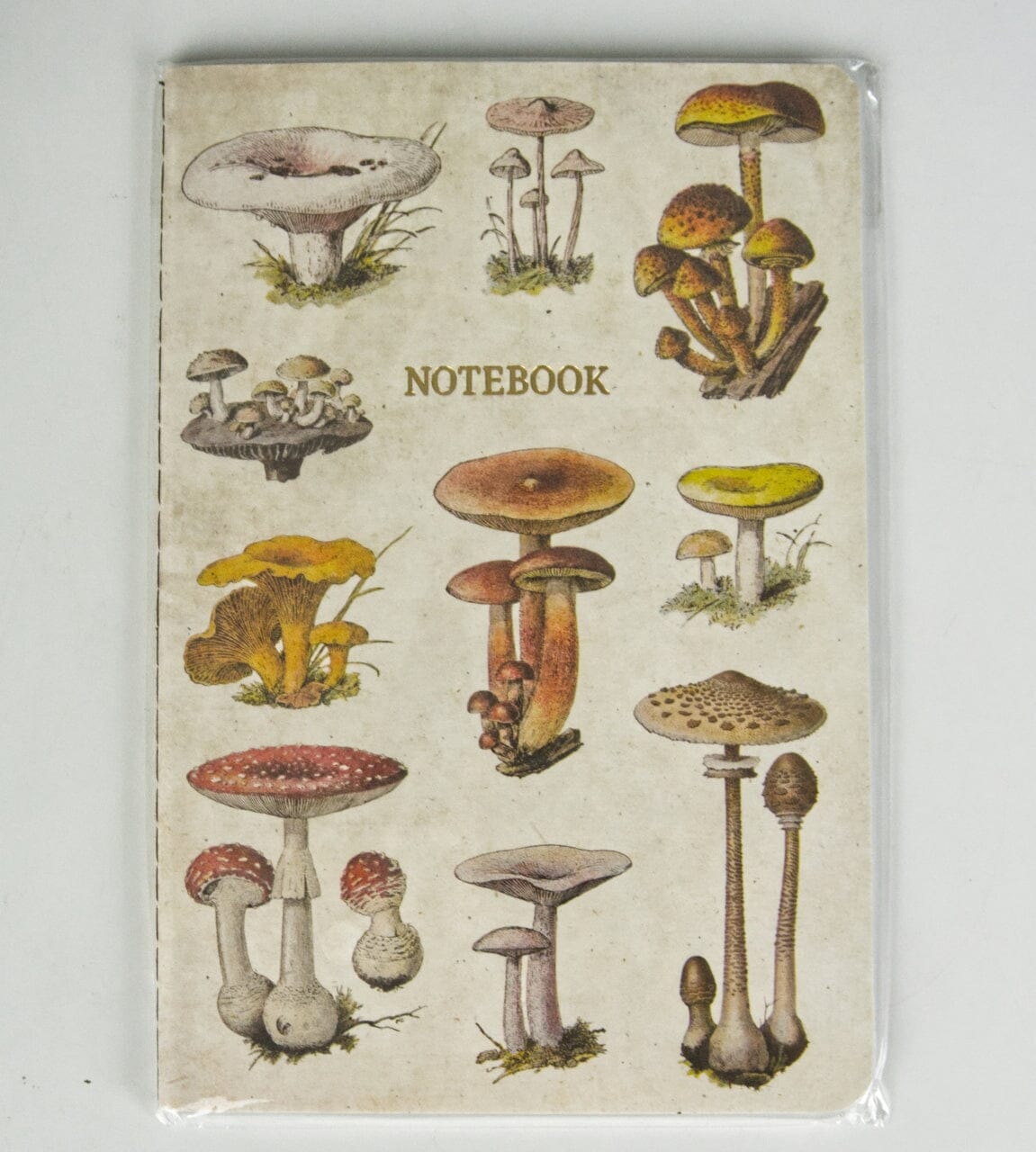 Carnet ligné style vintage (14 x 20 cm) - Motif "Champignons"   Sass & Belle