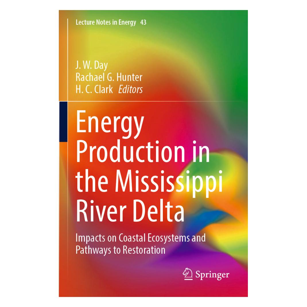 Springer Energy Production in the Mississippi River Delta (Englisch, Softcover, G Hunter, H, H. C. Clark, J. W. Day, R. G. Hunter, R/C Clark) (56945820)