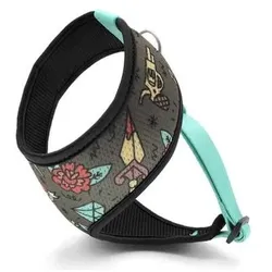 Morso Hundegeschirr Body Mesh (Hund), Halsband + Leine