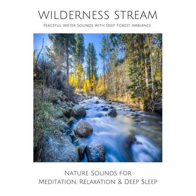 Wilderness Stream: Peaceful water sounds with deep forest ambience - Joe Hayworth, Audio, 4064066542733