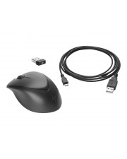 HP Premium Maus Laser 3 Tasten drahtlos 2,4 GHz kabelloser Empfänger USB Schwarz (1JR31AA#AC3)